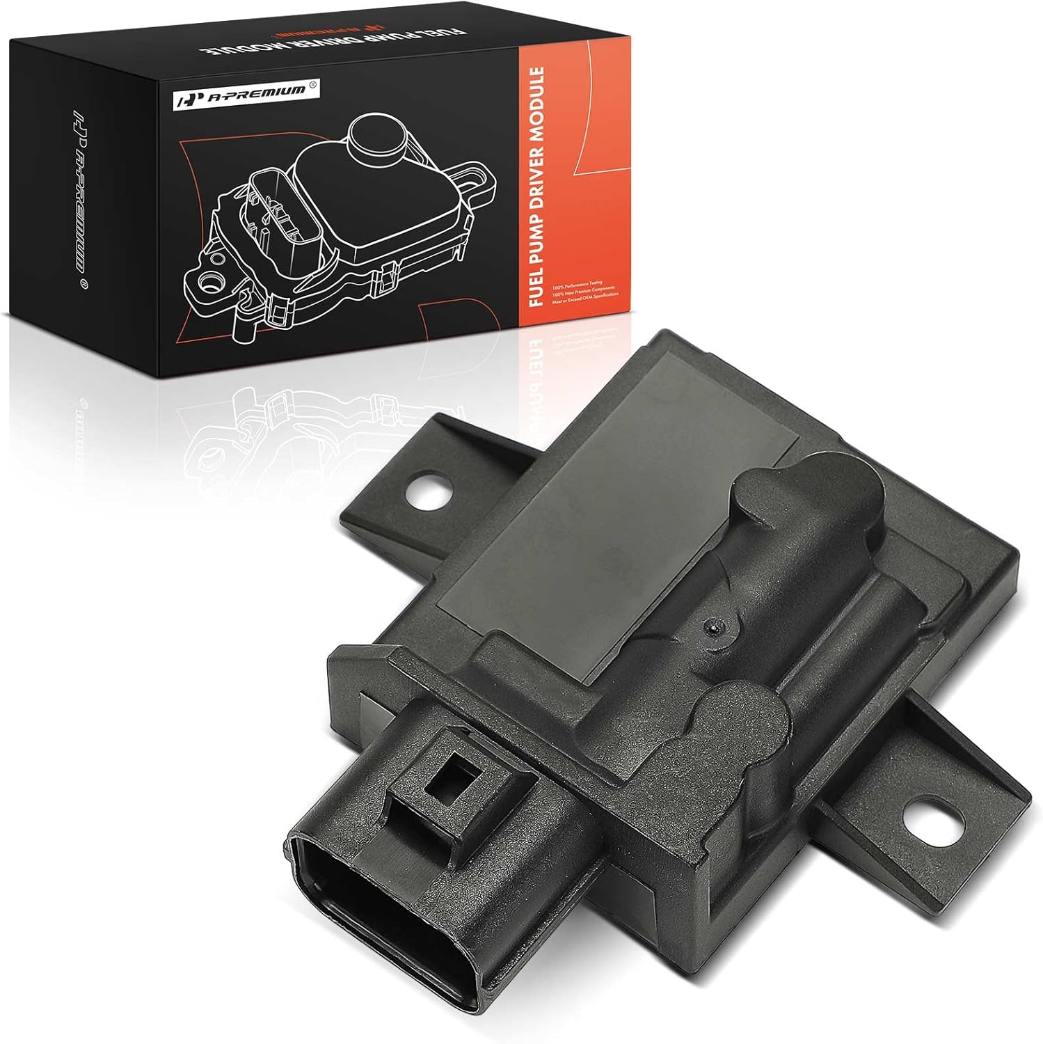 gallery yaichi | permanent artist | 金森正起 -Masaki Kanamori